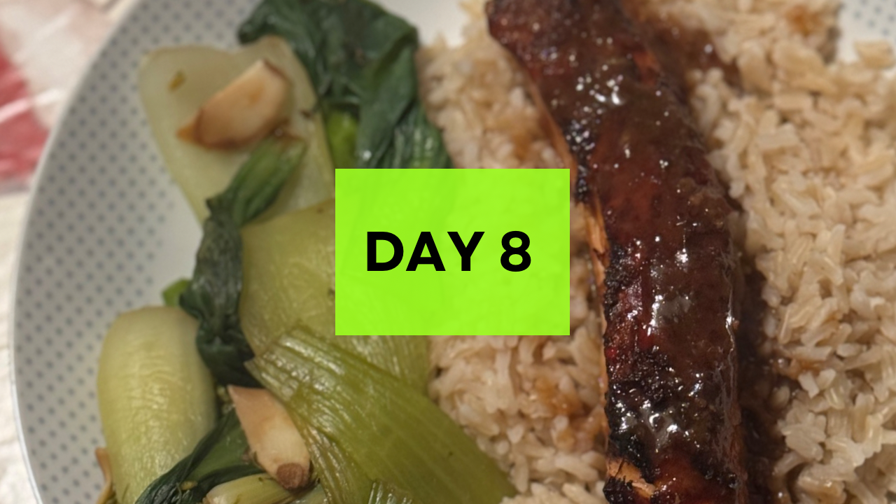 Day 8