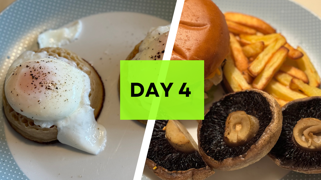Day 4